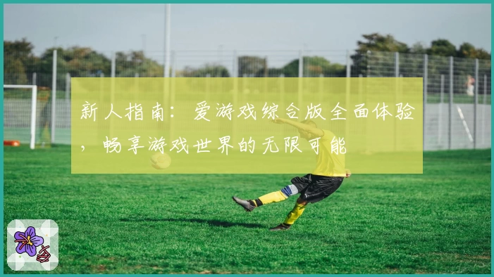 新人指南：爱游戏综合版全面体验，畅享游戏世界的无限可能