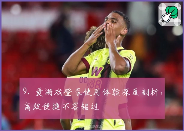 9. 爱游戏登录使用体验深度剖析，高效便捷不容错过